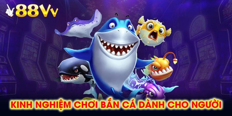 Mẹo chơi và hướng dẫn rèn kỹ năng nhắm bắn chuẩn xác tại bắn cá 88vv
