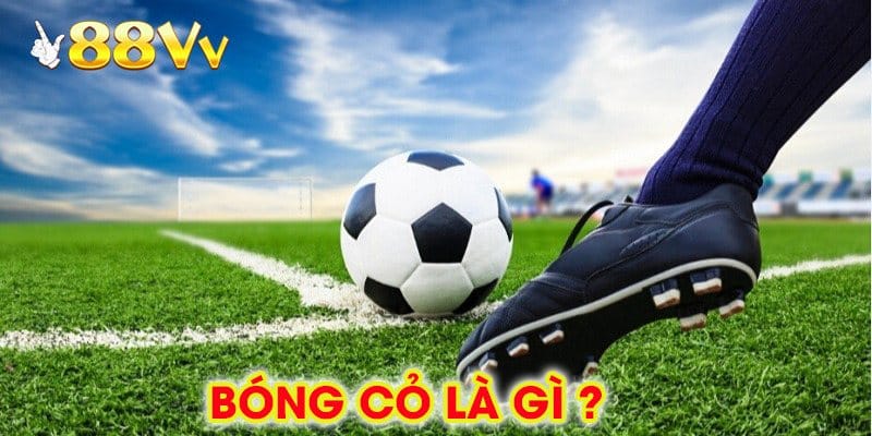Bóng Cỏ Là Gì ?