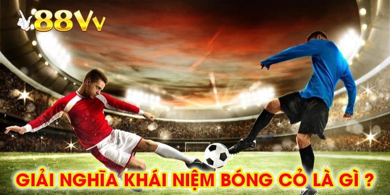 Giải Nghĩa Khái Niệm Bóng Cỏ Là Gì ?