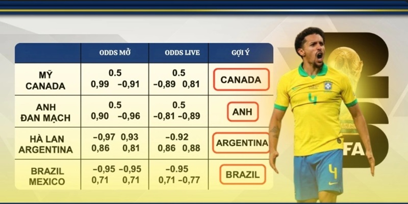 Những câu hỏi thường gặp nhất tại mùa World Cup 2026