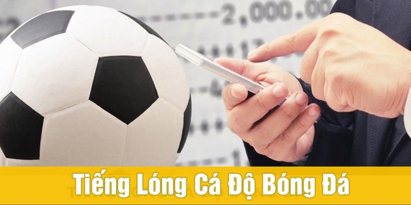Những tiếng lóng được xuất hiện phổ biến trong cá độ bóng đá