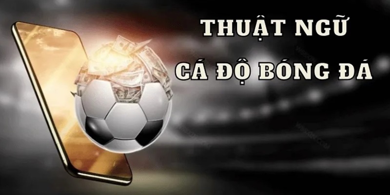 thuật ngữ cá độ bóng đá